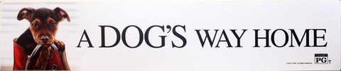 A Dog's Way Home