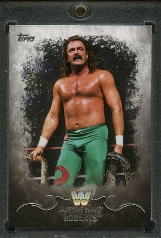 2016 Topps WWE Undisputed #1/1 Jake "the Snake" Roberts Blank Back