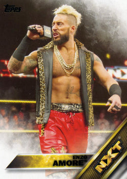 2016 Topps WWE NXT Insert Set of 28