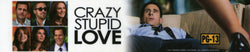 Crazy Stupid Love