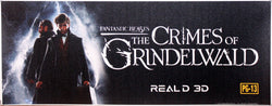 Fantastic Beasts: The Crimes of Grinderwald 3D
