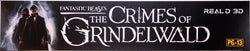 Fantastic Beasts: The Crimes of Grinderwald 3D