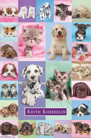 KEITH KIMBERLIN - PUPPIES AND KITTENS