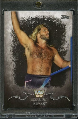2016 Topps WWE Undisputed #1/1 Michael P.S. Hayes Blank Back