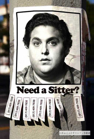 THE SITTER