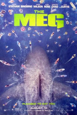 THE MEG