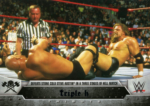 2016 Topps WWE Target Exclusive Triple H Tribute #16