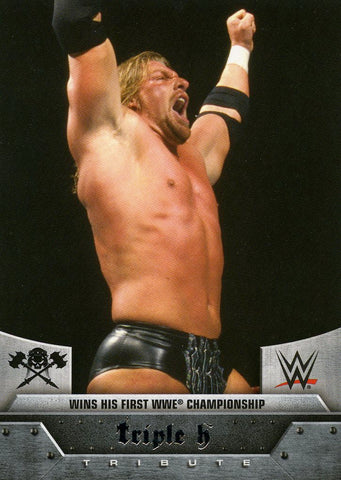 2016 Topps WWE Target Exclusive Triple H Tribute #9