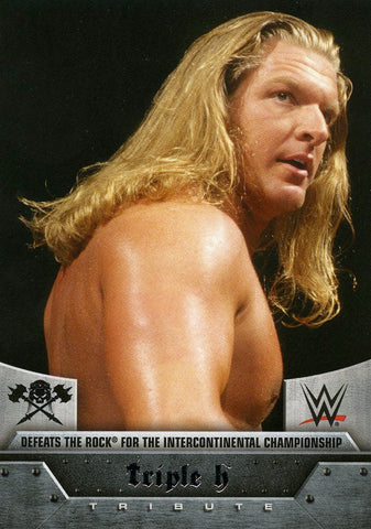 2016 Topps WWE Target Exclusive Triple H Tribute #7