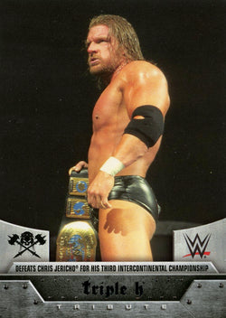 2016 Topps WWE Target Exclusive Triple H Tribute #17