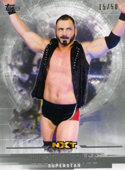 2017 Topps WWE Undisputed Silver Austin Aries