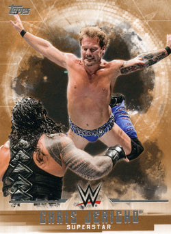 2017 Topps WWE Undisputed Bronze Chris Jericho