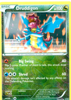 Pokemon Foil Druddigon