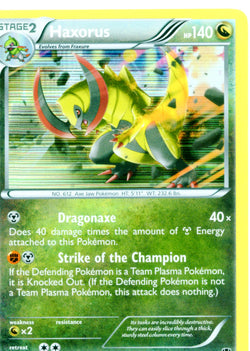 Pokemon Foil Haxorus