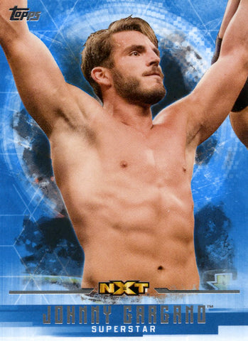 2017 Topps WWE Undisputed Base Johnny Gargano