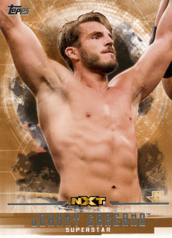 2017 Topps WWE Undisputed Bronze Johnny Gargano