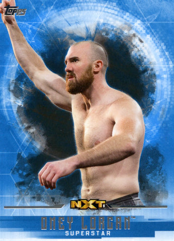 2017 Topps WWE Undisputed Base Oney Lorcan