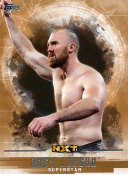 2017 Topps WWE Undisputed Bronze Oney Lorcan