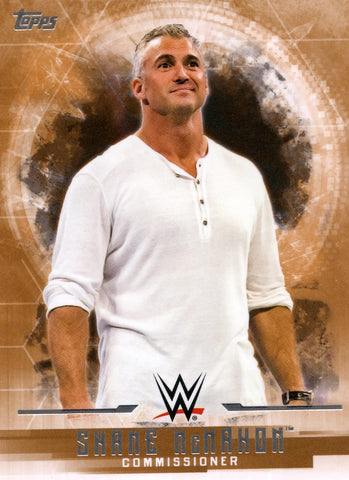 2017 Topps WWE Undisputed Bronze Shane McMahon