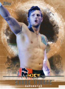 2017 Topps WWE Undisputed Bronze Shane Thorne