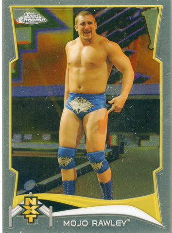 2014 Topps Chrome NXT Mojo Ralwey #13