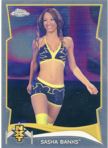 2014 Topps Chrome NXT Sasha Banks #17