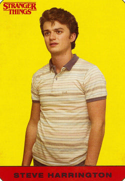 2018 Topps Stranger Things Steve Harrington Character Sticker