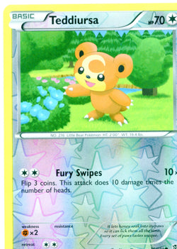 Pokemon Foil Teddiursa