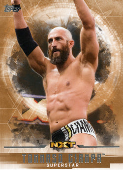 2017 Topps WWE Undisputed Bronze Tommaso Ciampa