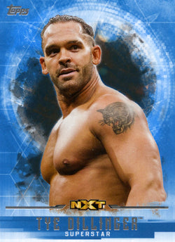 2017 Topps WWE Undisputed Base Tye Dillinger